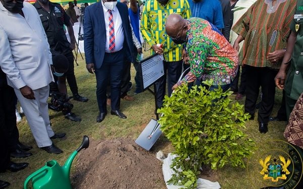 Green Ghana Day initiative won't be a one-off event – Akufo-Addo - South Dayi District Assembly
